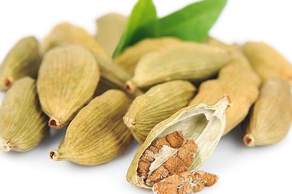 Thảo đậu khấu